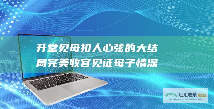 升堂见母 扣人心弦的大结局 完美收官 见证母子情深