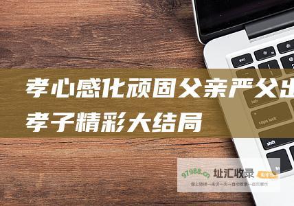 孝心感化顽固父亲 严父出孝子 精彩大结局