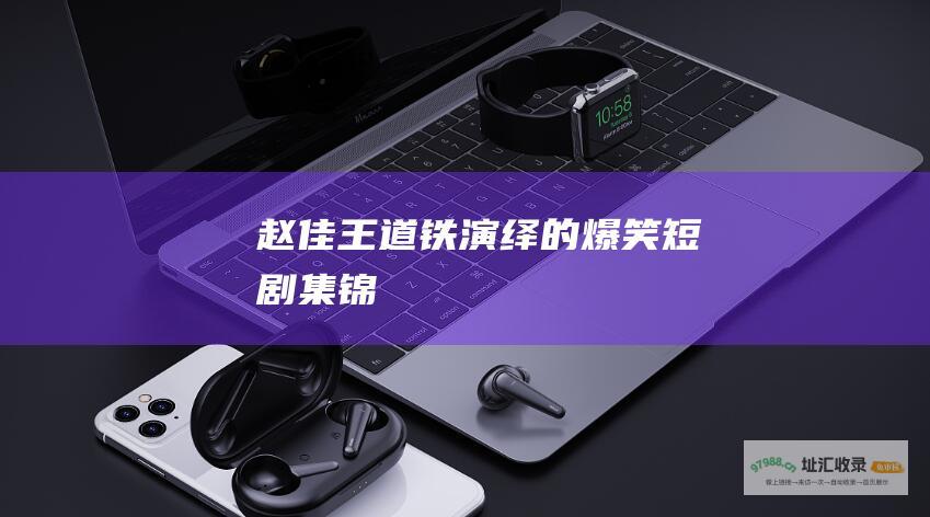 赵佳王道铁演绎的爆笑短剧集锦