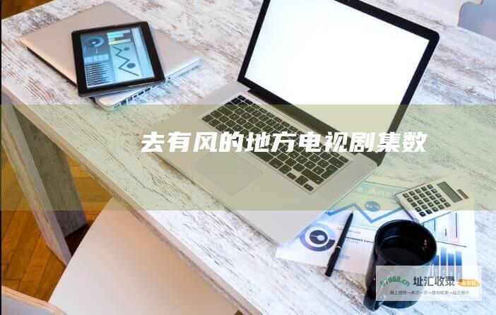 去有风的地方电视剧集数