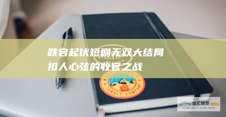 跌宕起伏短剧无双大结局扣人心弦的收官之战