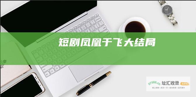 短剧凤凰于飞大结局