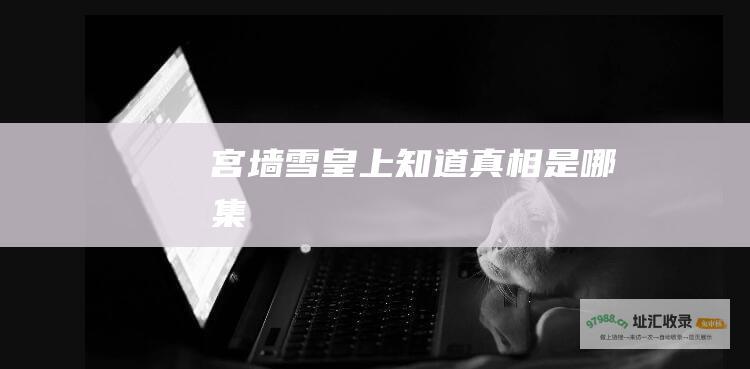 宫墙雪皇上知道真相是哪集