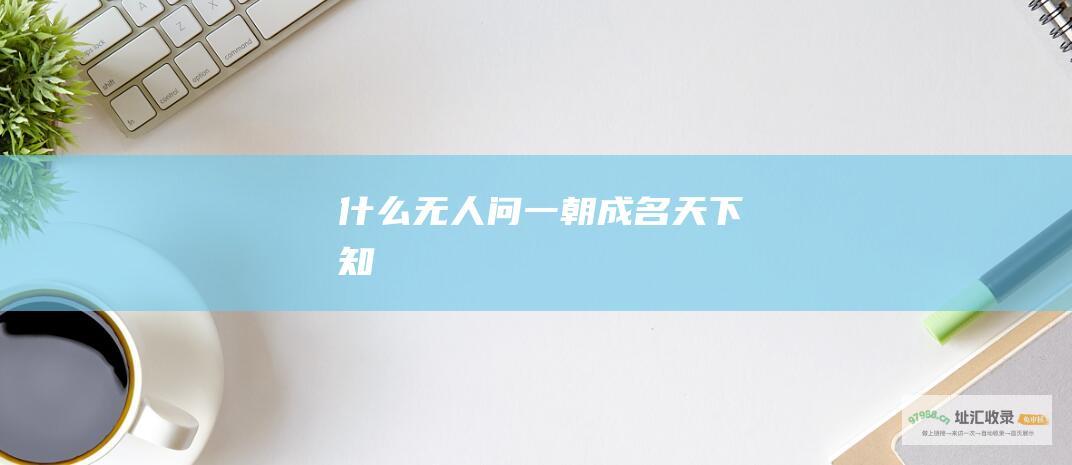 什么无人问 一朝成名天下知