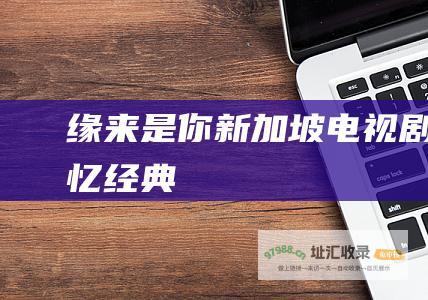 缘来是你 新加坡电视剧 追忆经典