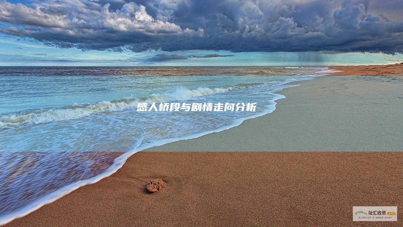 感人桥段与剧情走向分析