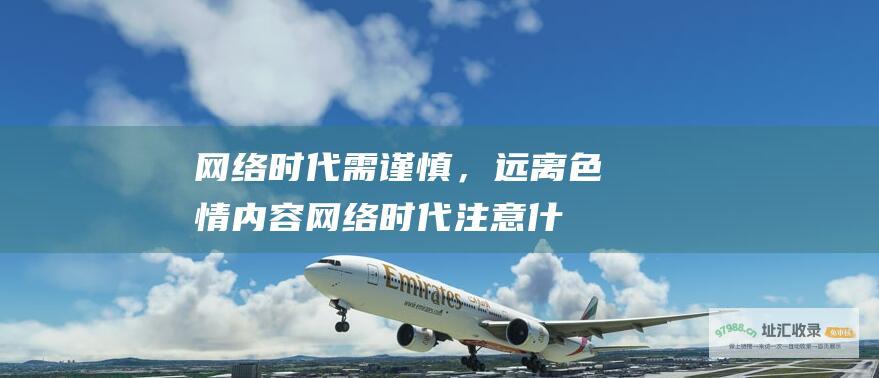 网络时代需谨慎，远离色情内容网络时代注意什