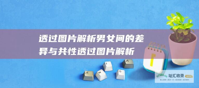 透过图片解析男女间的差异与共性 (透过图片解析人物)