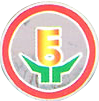 河北郑口中学