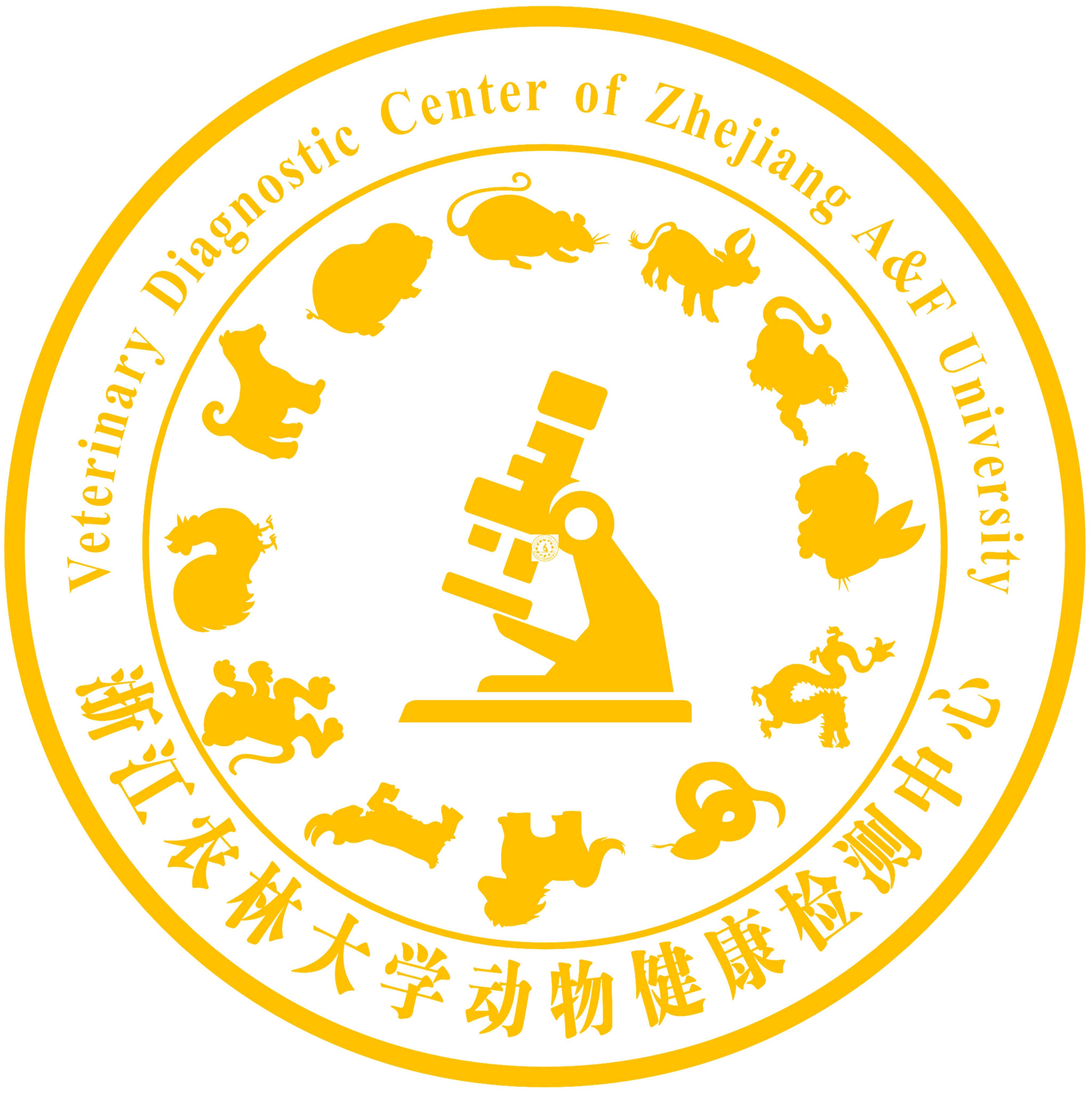 相关推荐
