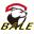 耐高温长轴电机生产厂家【BALE/贝尔】