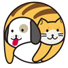 小云宠物网 - 分享宠物小猫,小狗,兔子,仓鼠饲养训练知识