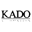 凯多智能科技（上海）有限公司
