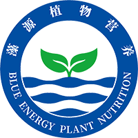 相关推荐