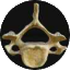 secret bone_异骨
