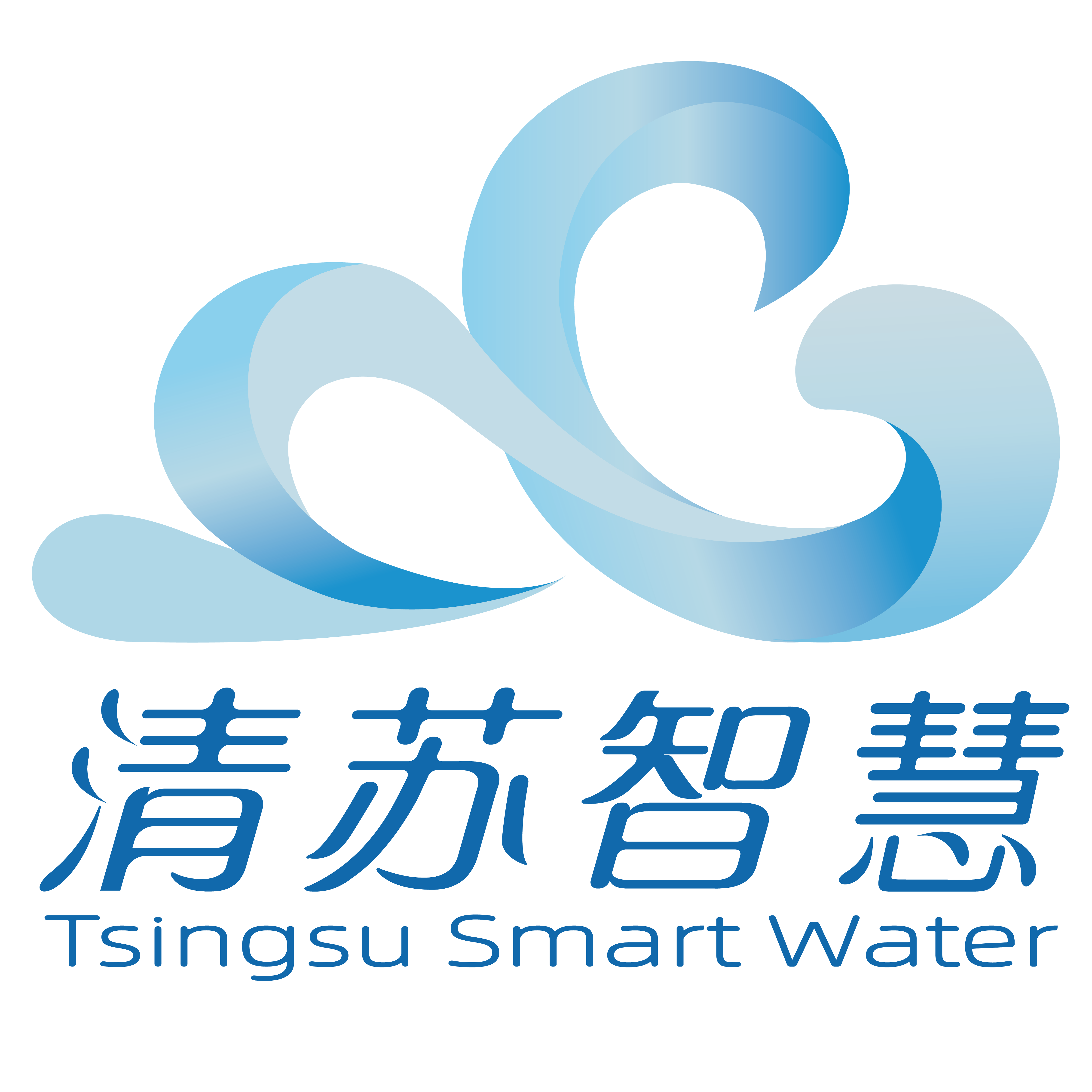 清苏智慧水务科技（苏州）有限责任公司