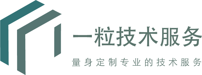 软件外包服务商 | 一粒金融软件服务外包有限公司
