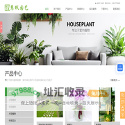 上海室外绿化/绿植养护,上海办公室绿植租赁,上海花卉出租-慧枫园艺