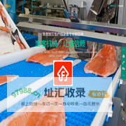 渔客机械-鱼类加工设备领军品牌 - 渔客机械 日照鑫田数控设备有限公司