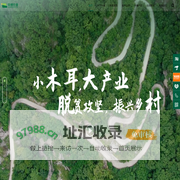 中博农业