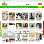 狗市场网—买狗卖狗看狗选狗来狗市场！