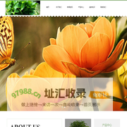 金坛绿植物租赁_金坛花卉租赁_金坛绿化养护_金坛绿植园艺有限公司