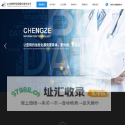 山东诚择信息技术有限公司