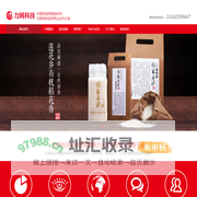 品牌营销推广|品牌形象维护|网络优化推广|网络推广公司|长沙网站建设-力网网络科技（长沙）有限公司