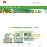 大型彩叶苗木_绿化苗木_草花种植基地-河北百盛苗木