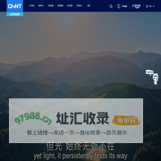 正泰安能数字能源（浙江）股份有限公司