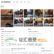 凯义恒狗狗笔记-专注于养狗经验笔记分享