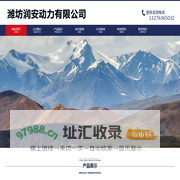 100kw柴油发电机组-潍坊润安动力有限公司