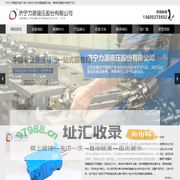 液压马达_摆线_BM系列-济宁力源液压马达厂家