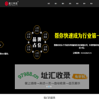 SEO·品牌推广·网络营销策划·王通