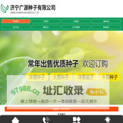 济宁广源种子有限公司_中日照洋葱种子,大葱种子,长日照洋葱种子