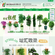 合肥绿化养护|合肥绿植租赁|合肥花卉租摆|合肥国庆花展|安徽龙景园林绿化有限公司