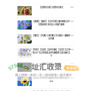 优者号 - 知识分享的乐园