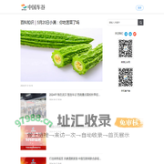 中国车谷