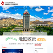 中盐内蒙古化工股份有限公司