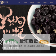 新疆黑果枸杞生物科技有限公司