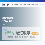 宁波天猫代运营_淘宝代运营_电商代运营公司 - 雷丁电商