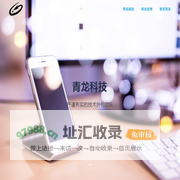 广州市青龙信息技术有限公司