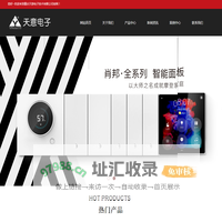 重庆天意电子技术有限公司