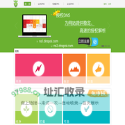 DNS派--最好的域名解析服务商--稳定_快速_安全_环保,智能DNS