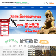 天津市海霖钢铁有限公司