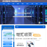 武汉胜蓝电子科技有限公司