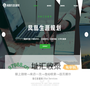 凤凰生涯/凤凰综评