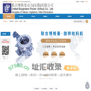 联合博格曼动力（安徽）有限公司