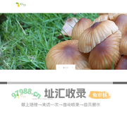 胡记
