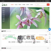 兰之奇